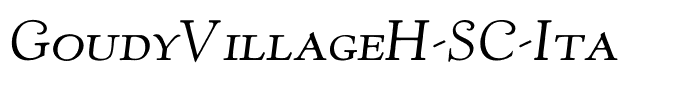 GoudyVillageH-SC-Ita