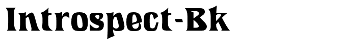 Introspect-Bk