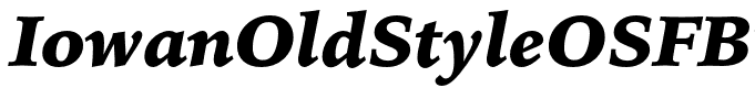 IowanOldStyleOSFBT-BlackItalic
