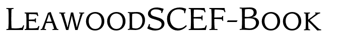 LeawoodSCEF-Book