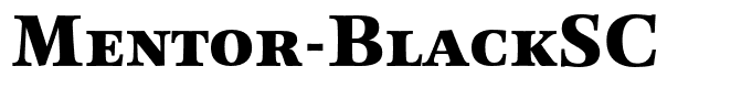 Mentor-BlackSC
