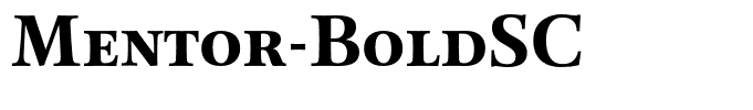 Mentor-BoldSC