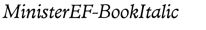 MinisterEF-BookItalic