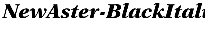 NewAster-BlackItalic