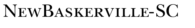NewBaskerville-SC