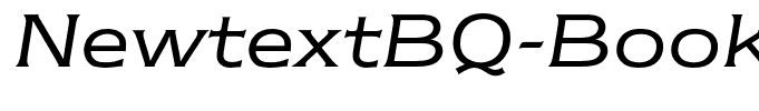 NewtextBQ-BookItalic