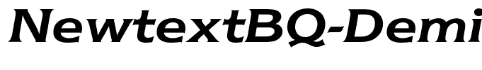 NewtextBQ-DemiItalic