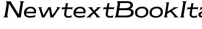 NewtextBookItalic