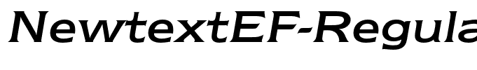 NewtextEF-RegularItalic