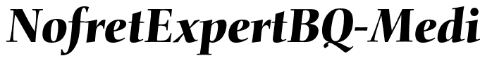 NofretExpertBQ-MediumItalicOsF