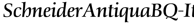 SchneiderAntiquaBQ-Italic