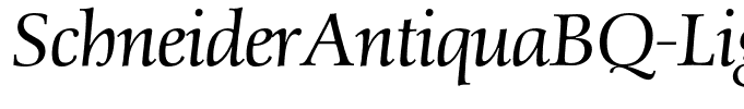 SchneiderAntiquaBQ-LightItalic
