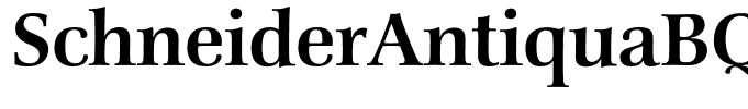 SchneiderAntiquaBQ-Medium