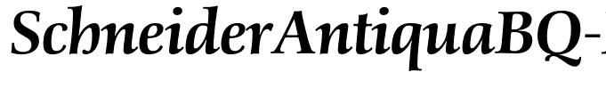 SchneiderAntiquaBQ-MediumItalic