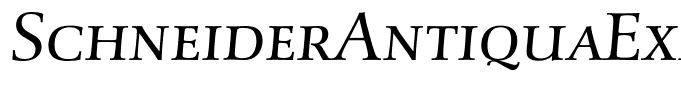 SchneiderAntiquaExpBQ-LightItalic