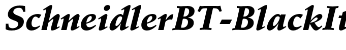 SchneidlerBT-BlackItalic(1)