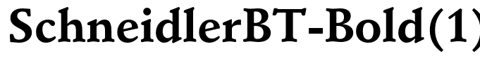 SchneidlerBT-Bold(1)