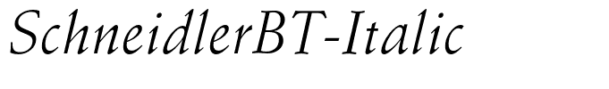 SchneidlerBT-Italic