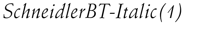 SchneidlerBT-Italic(1)