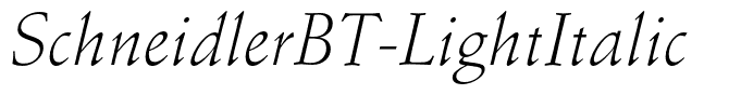 SchneidlerBT-LightItalic