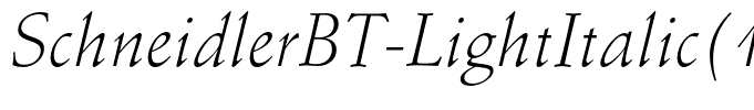 SchneidlerBT-LightItalic(1)
