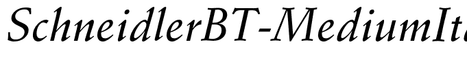 SchneidlerBT-MediumItalic(1)