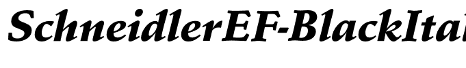 SchneidlerEF-BlackItalic