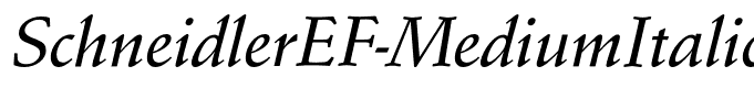 SchneidlerEF-MediumItalic
