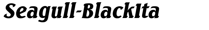 Seagull-BlackIta