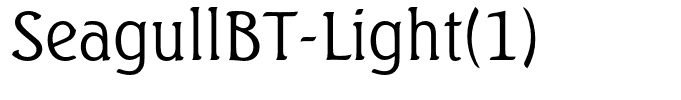 SeagullBT-Light(1)
