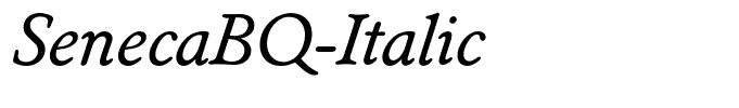 SenecaBQ-Italic