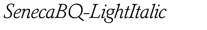 SenecaBQ-LightItalic