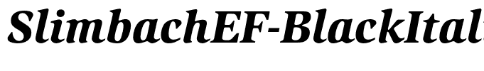 SlimbachEF-BlackItalic