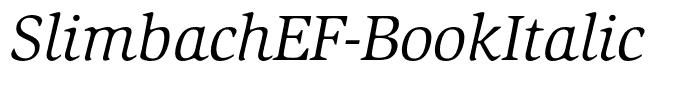 SlimbachEF-BookItalic