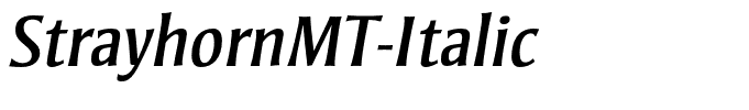 StrayhornMT-Italic