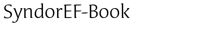 SyndorEF-Book