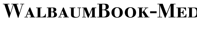 WalbaumBook-MediumSC