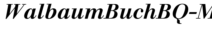 WalbaumBuchBQ-MediumItalic