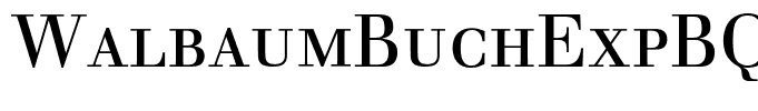 WalbaumBuchExpBQ-Regular