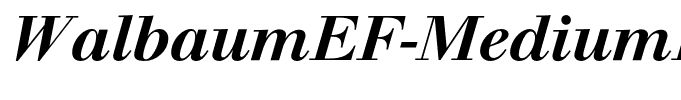 WalbaumEF-MediumItalic