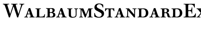 WalbaumStandardExpertBQ-Medium