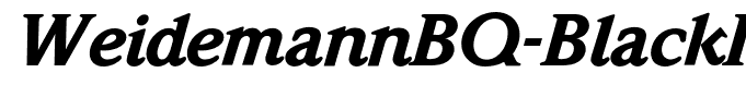 WeidemannBQ-BlackItalic