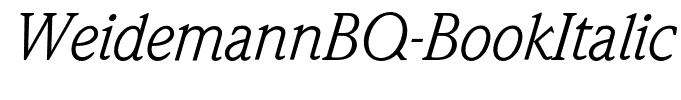 WeidemannBQ-BookItalic