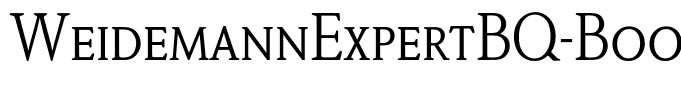 WeidemannExpertBQ-Book