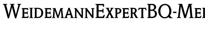 WeidemannExpertBQ-Medium