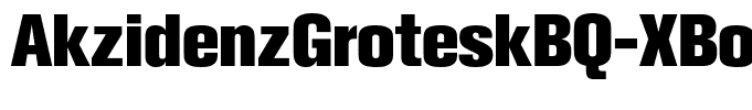 AkzidenzGroteskBQ-XBoldAlt