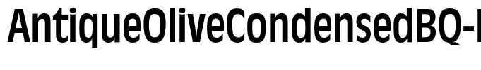 AntiqueOliveCondensedBQ-Regular