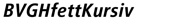 BVGHfettKursiv