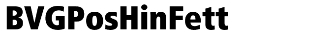 BVGPosHinFett