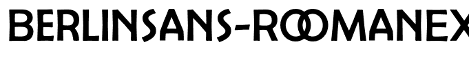 Berlinsans-RomanExpert